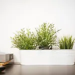 Art Nouveau Appartamento *