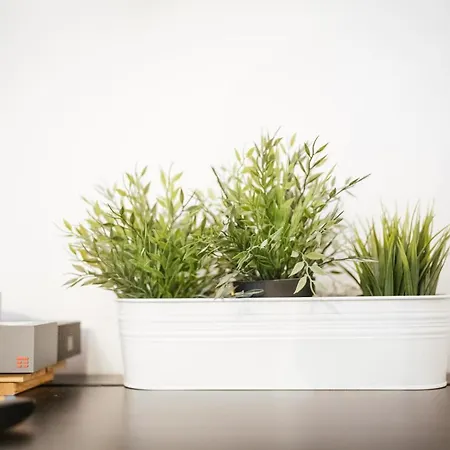 Art Nouveau Apartment *