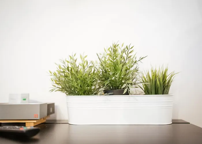 Art Nouveau Appartement *